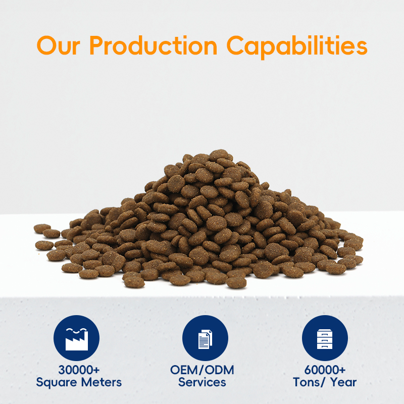 Best Dry Cat Food for Healthy Weight Management in Cats