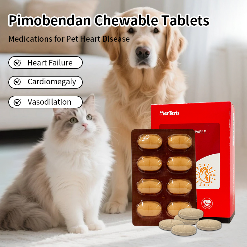 Bulk Pimobendan Chewables Supplier Treatment for Canine Congestive Heart Failure