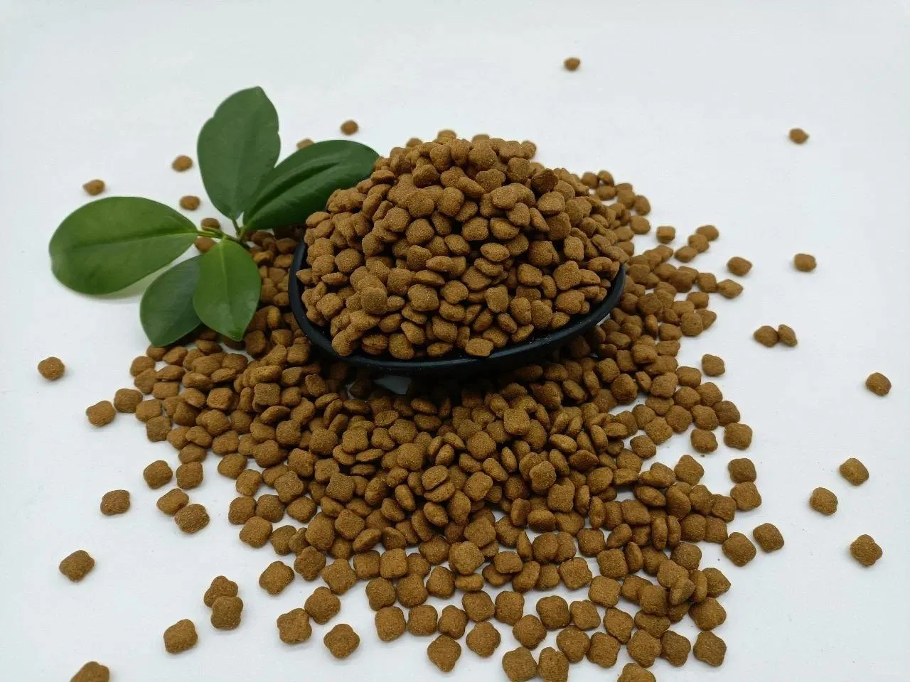 OEM ODM Factory Direct Cat Dry Food Bulk Wholesale Grain Free No Additives Nutritional Pet Food Free Shipping Option