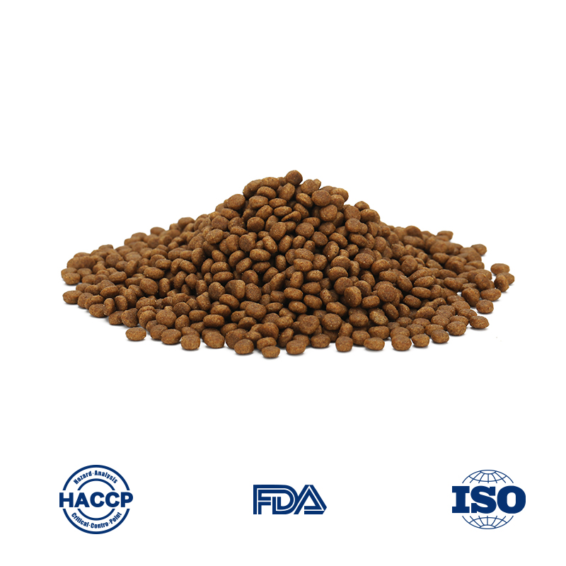 Premium Hypoallergenic Cat Food for Sensitive Stomach Relief