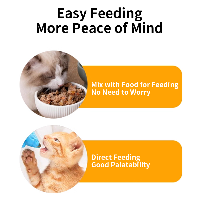 Vet-Recommended Cat Urinary Tract Health Supplement OEM ODM Wholesale