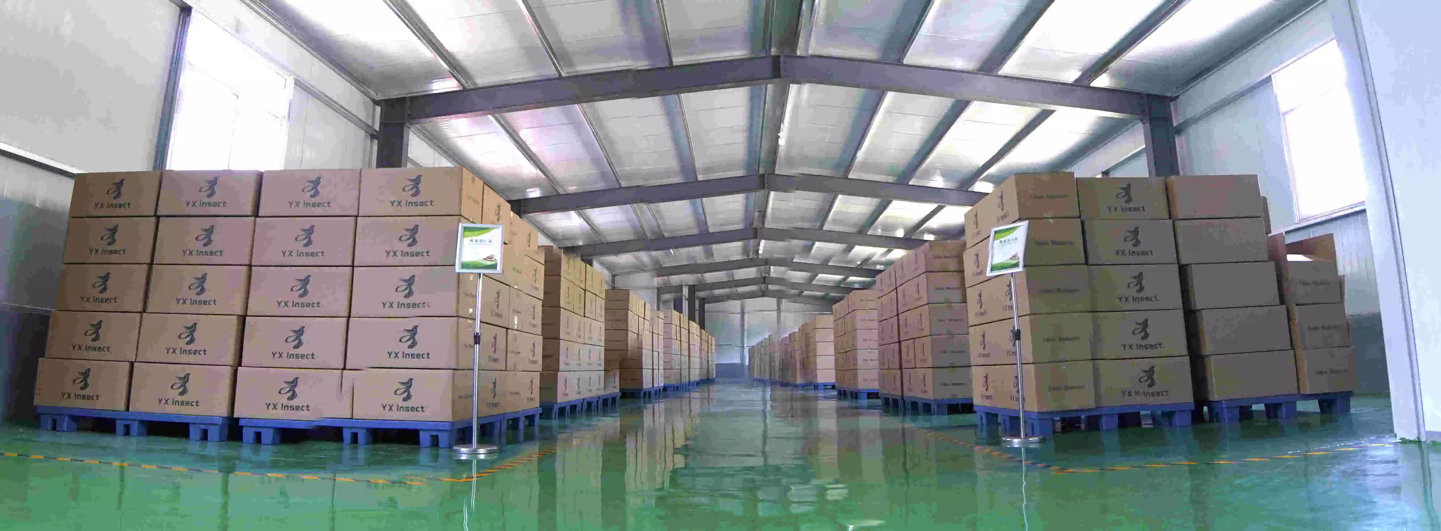 Bulk High Protein Fish Food/Bird Food/Pet Food Made of Dried Mealworms