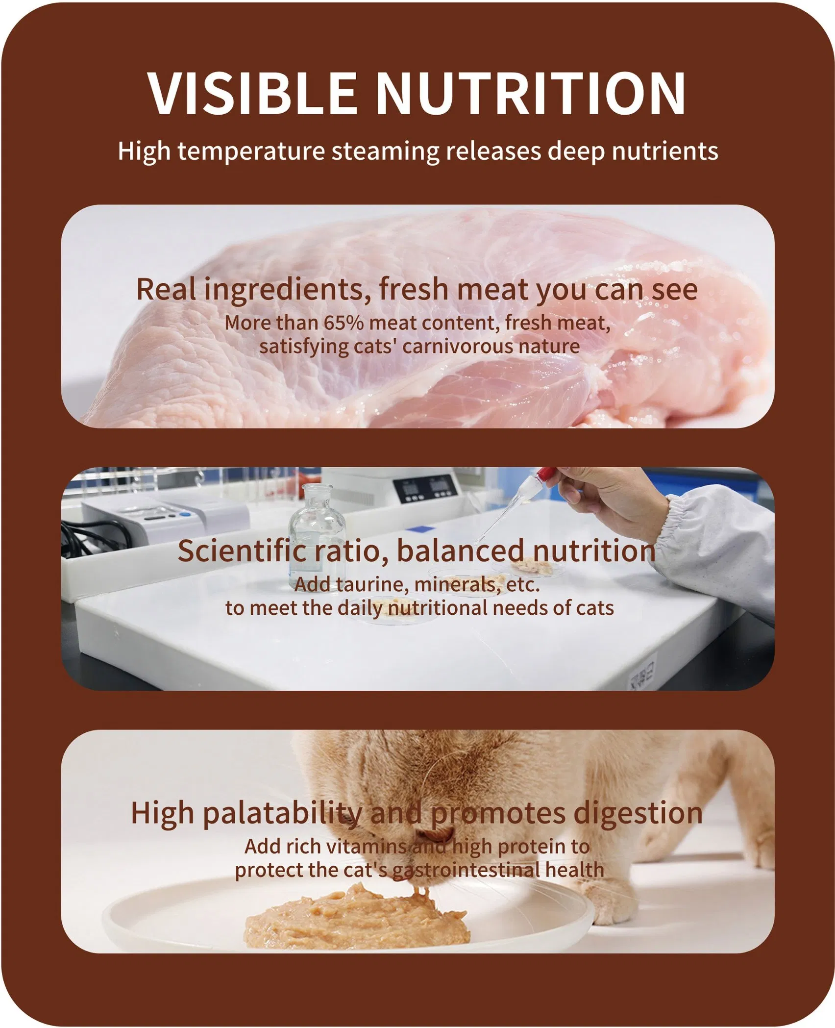 ODM High-Quality Beef Chicken Salmon Cat Wet Pouch Food Snacks for Dog