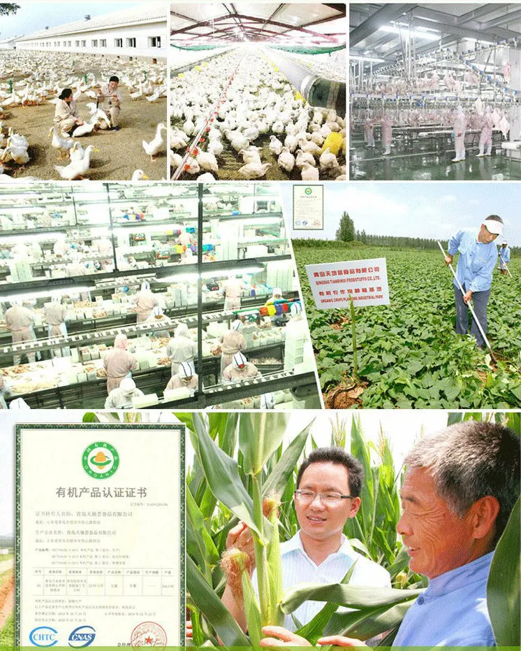 Feeding Instructions