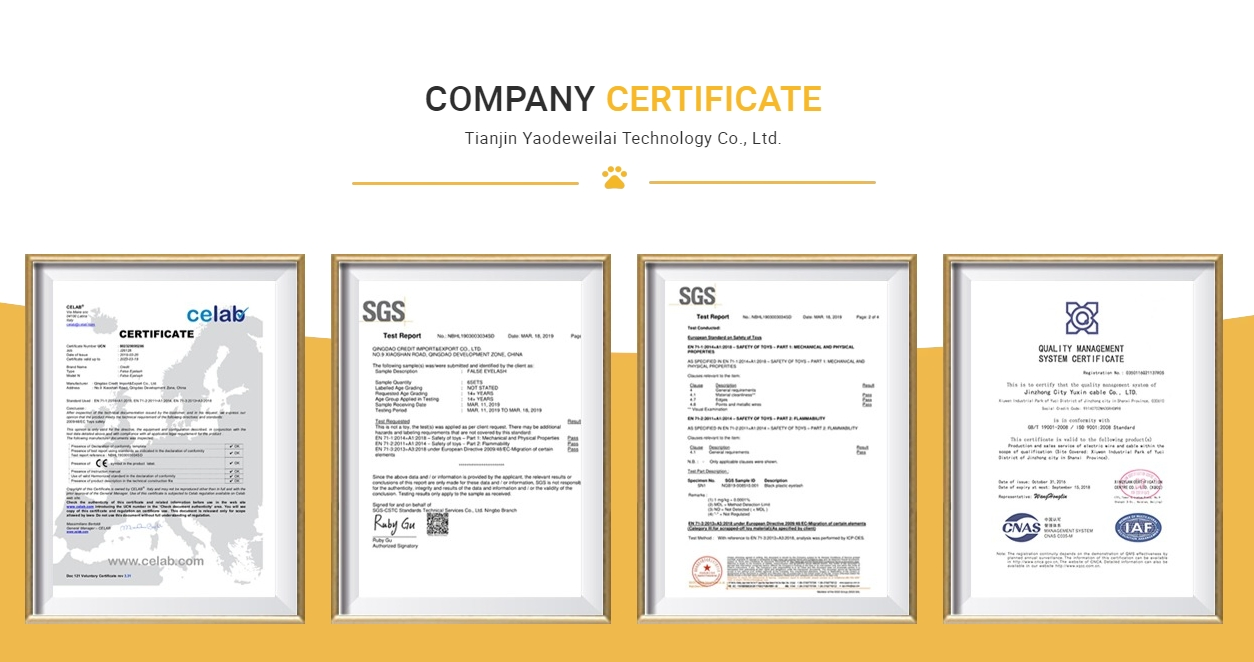 OEM ODM Factory Direct Cat Dry Food Bulk Wholesale Grain Free No Additives Nutritional Pet Food Free Shipping Option