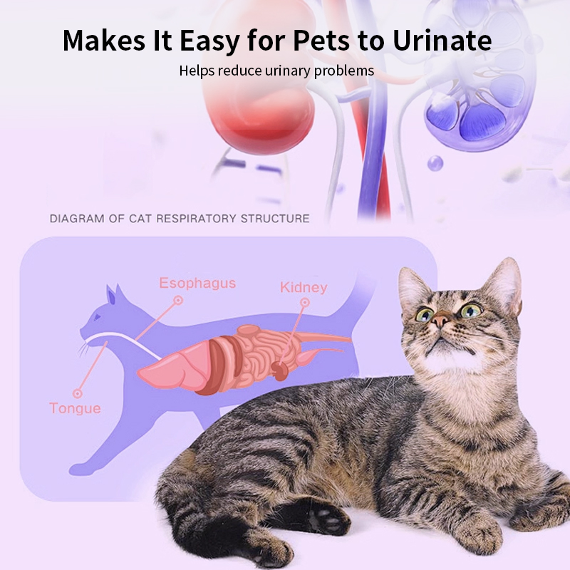 Vet-Recommended Herbal Urinary Support for Pets
