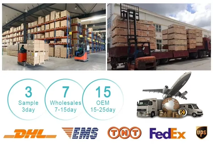 Transport and Logistics