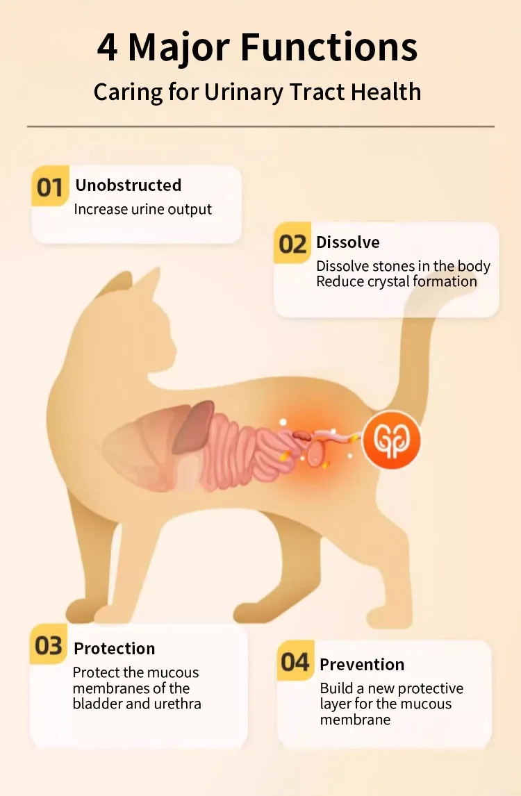 Cat Urinary Tract Health 4