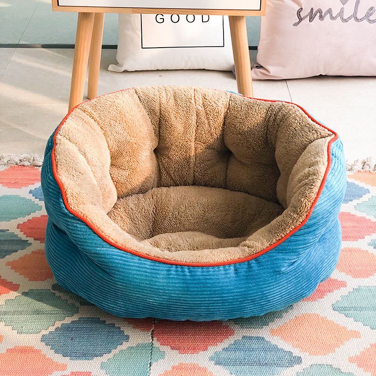 Corduroy Kennel Featured High-End Pet Dog Puppies