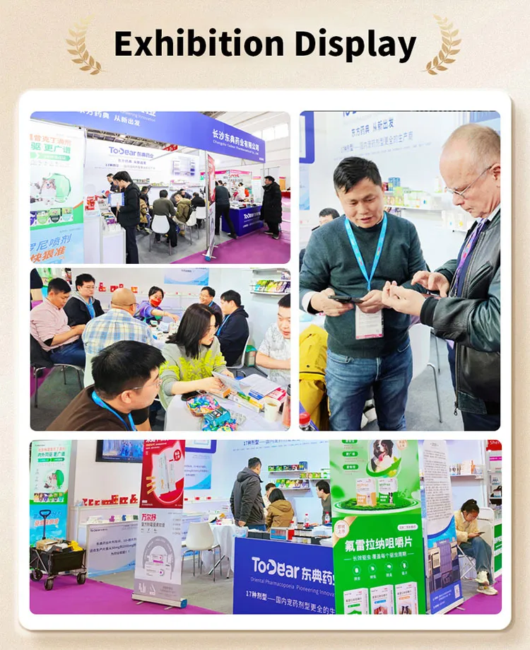 Pinobendan Tablets 13