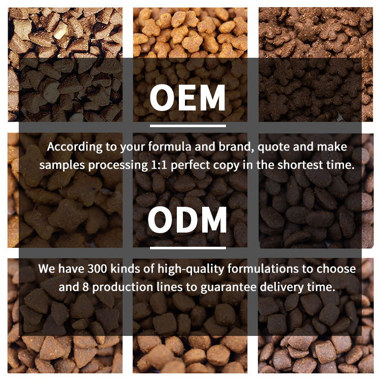 Bag Packed All Natural Custom Packaging High-Quality Pet Supply High Protein New Product Launched Pet Dry Cat Food