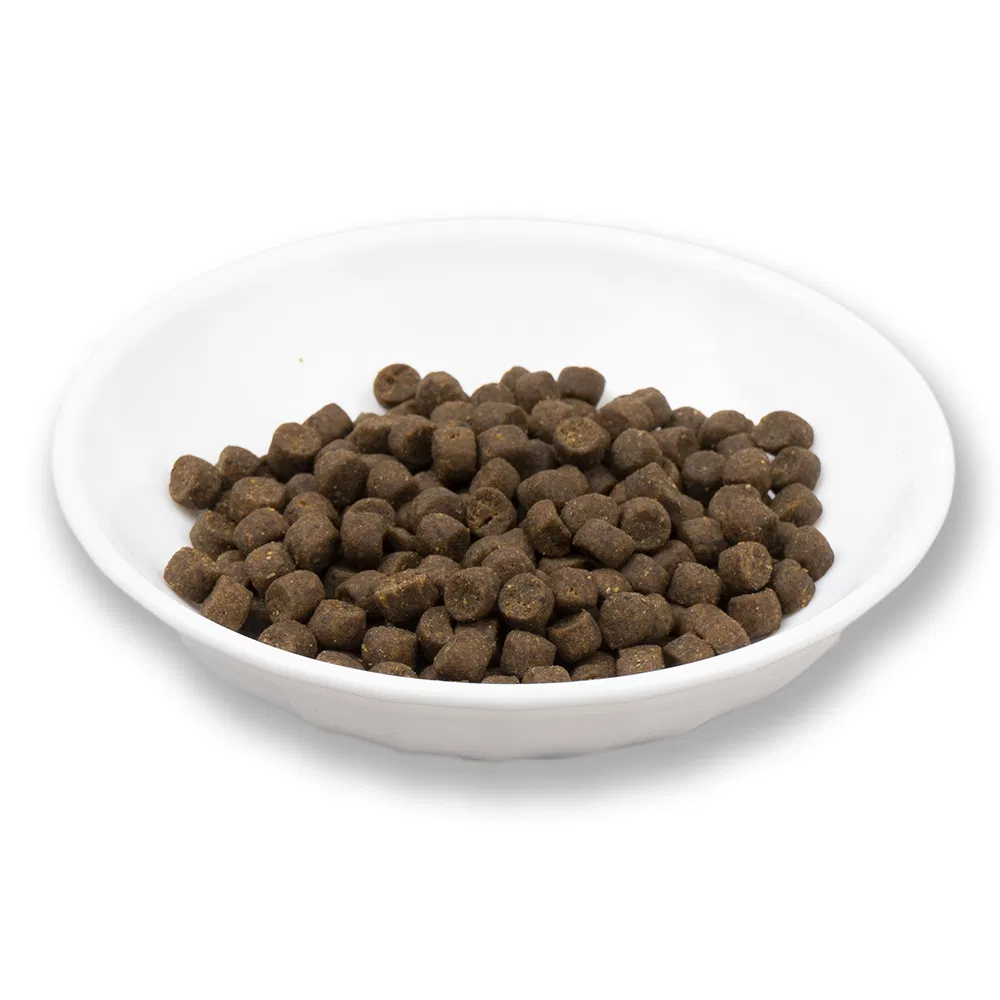 Cat Food Supplier OEM Cat Food Factory From China for Cat Dry Food Pet Food