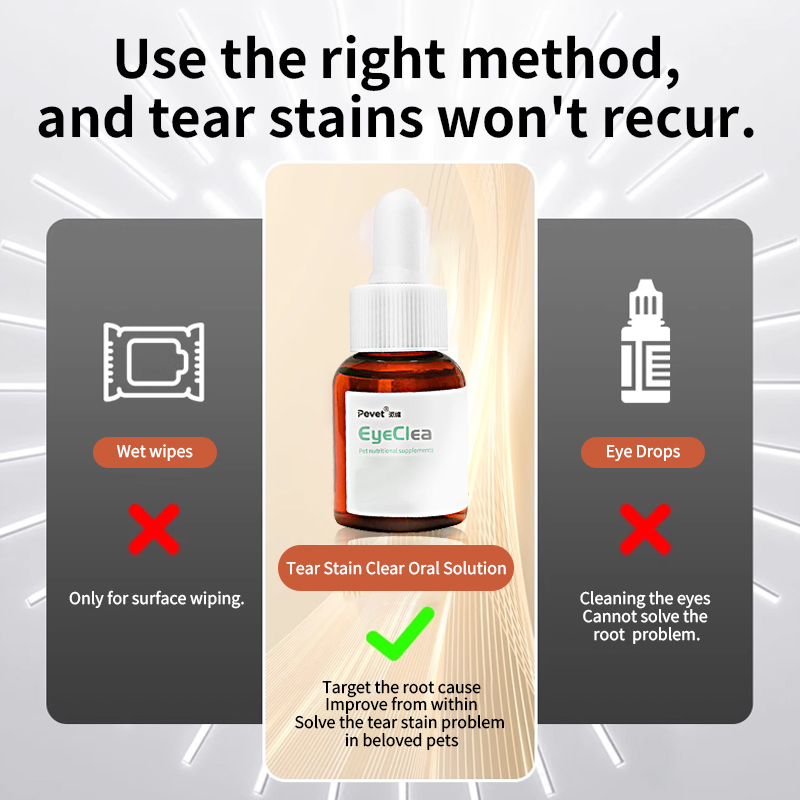 Bichon Poodle Tear Relief Post-Op Daily Use Vet Recommended 7-Day Effect