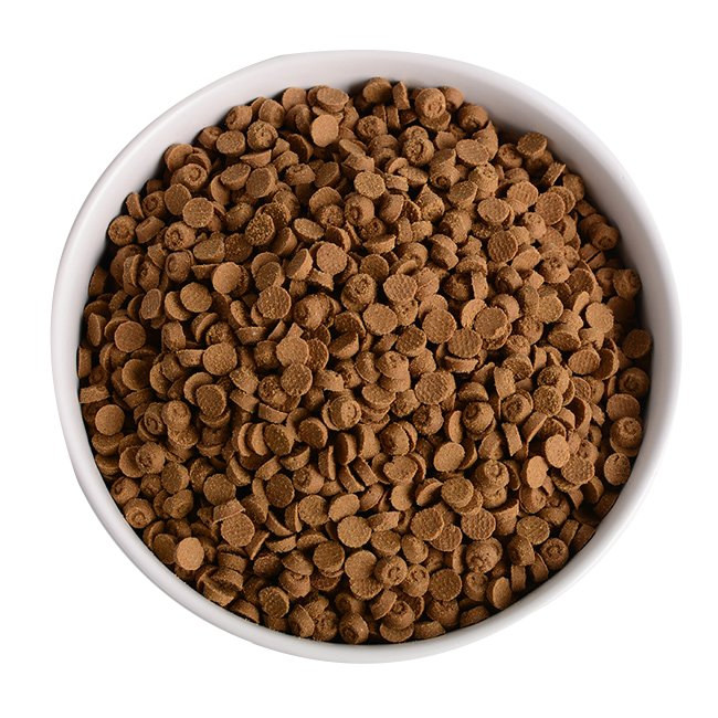 Dry Cat Food Premium Savory Pet Staple Daily Food Baked Kibble 1.5kg Private Label OEM&ODM