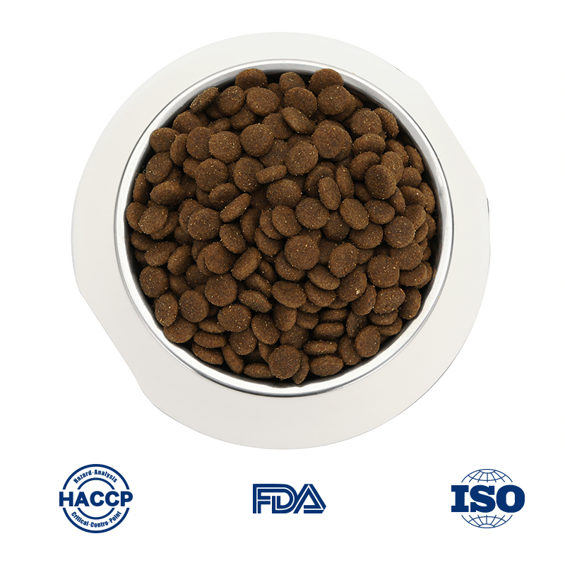 Tailored Nutrition for Strong and Happy Aussiedoodle Puppies