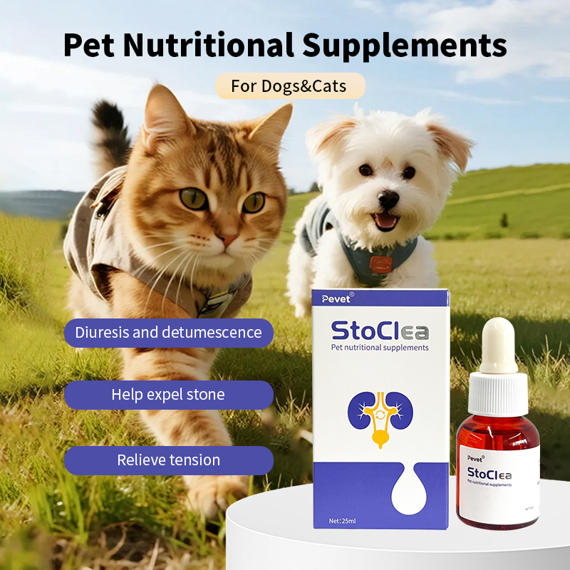 Vet-Recommended Herbal Urinary Support for Pets