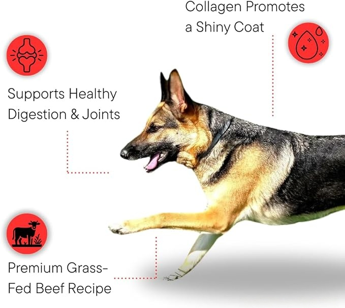 Baked Dry Dog Food Cat Food OEM Service for Healthy Pet Food