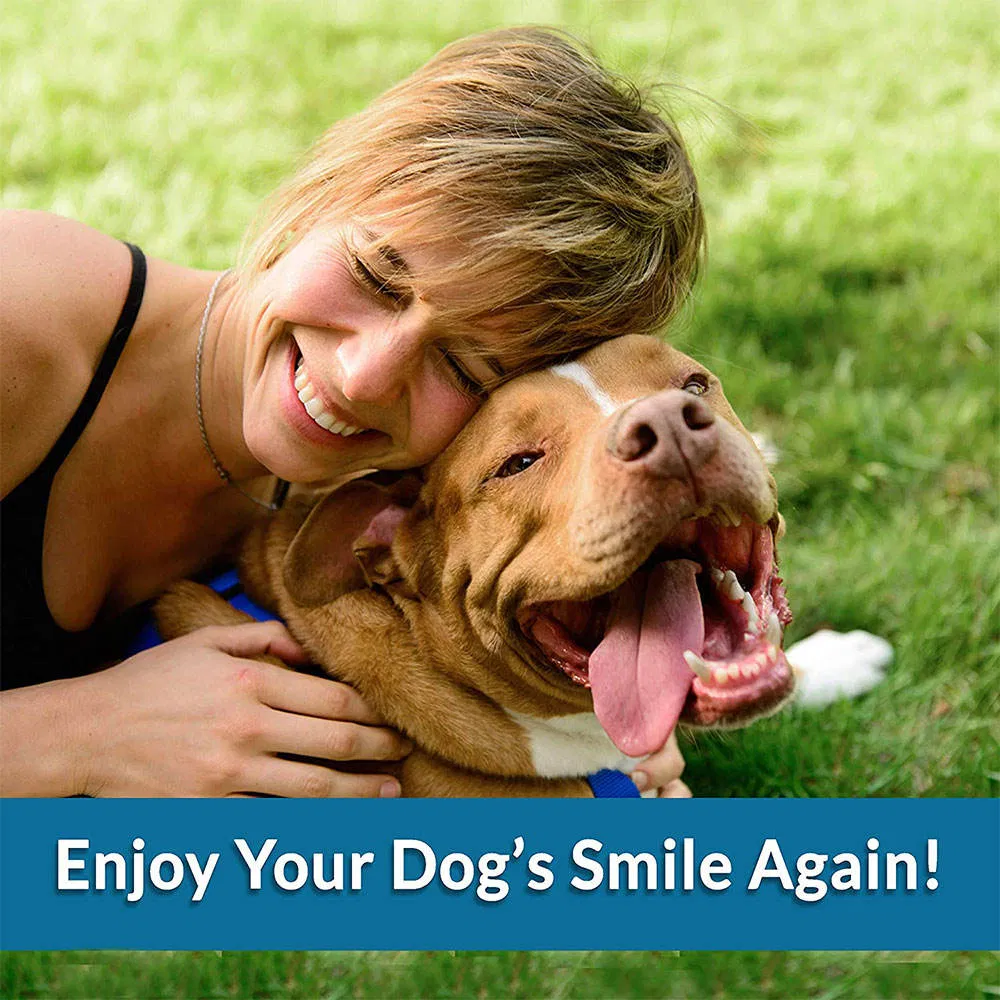 Pet Food Science Diet Natural Organic Dog Food with Healthy Ingredient