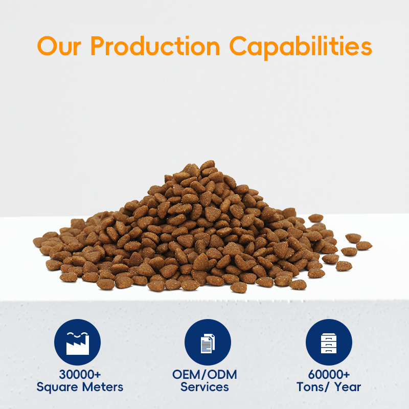 Best Dry Cat Food for Healthy Weight Management in Cats