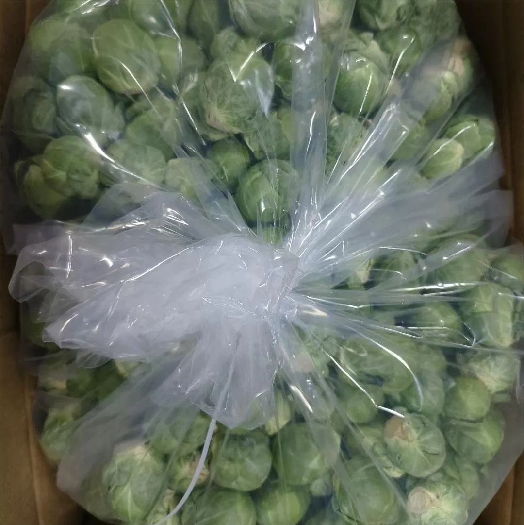 OEM/ODM Factory Manufacturer Natural Organic Freeze-Dried Cabbage Cat Supply Treat Dog Snack Pet Food