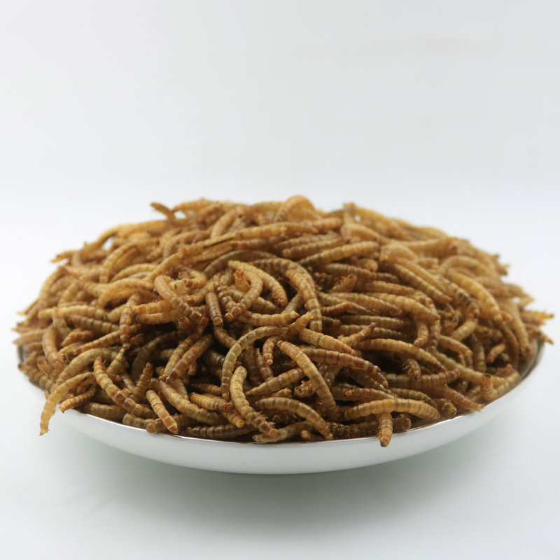 High Protein Pet Food Wholesalers Dried Mealworms Animal Super Worm