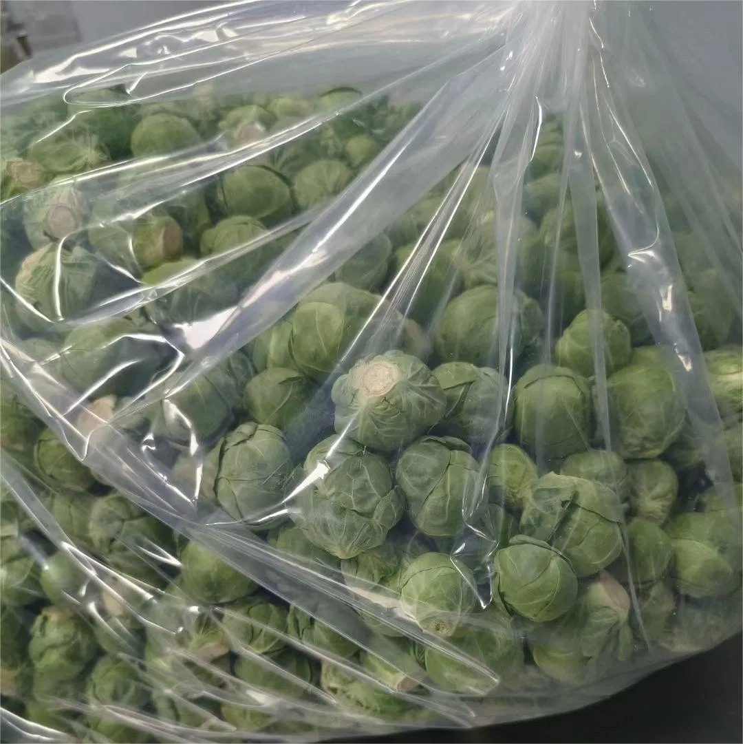 OEM/ODM Factory Manufacturer Natural Organic Freeze-Dried Cabbage Cat Supply Treat Dog Snack Pet Food