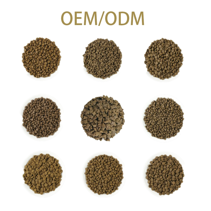 Premium Organic Non-GMO Dog Food with Nutrient-Dense Superfoods