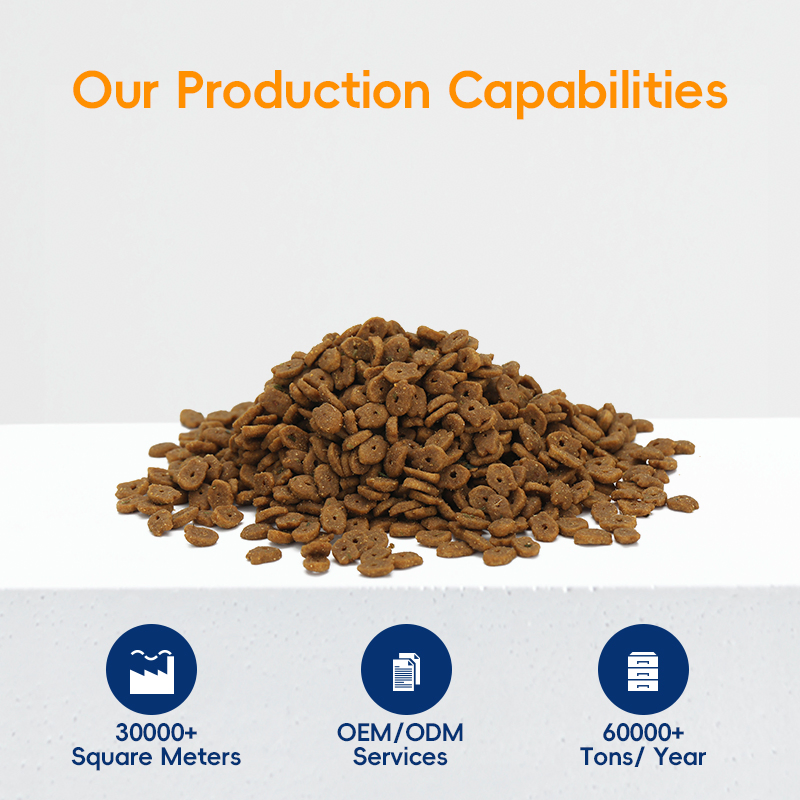 Best Dry Cat Food for Healthy Weight Management in Cats