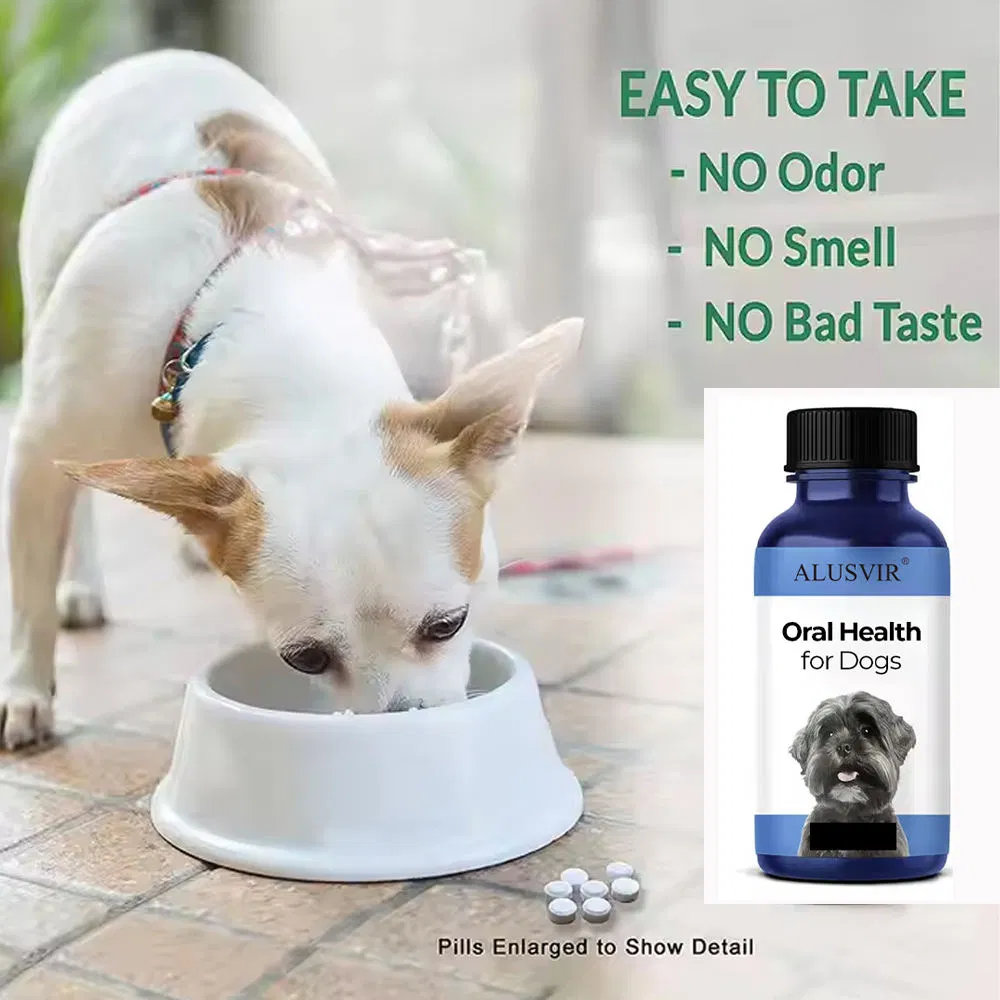 Pet Food Science Diet Natural Organic Dog Food with Healthy Ingredient