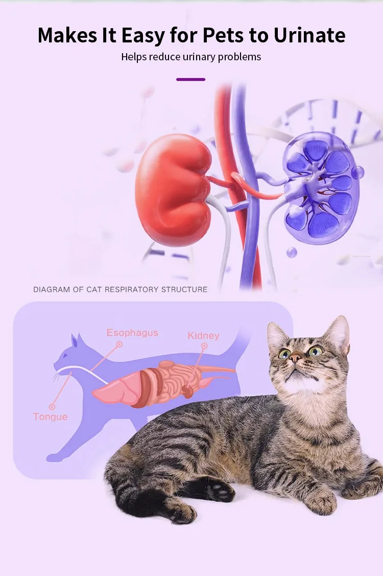 Pet Urinary Tract Health Oral Liquid 6