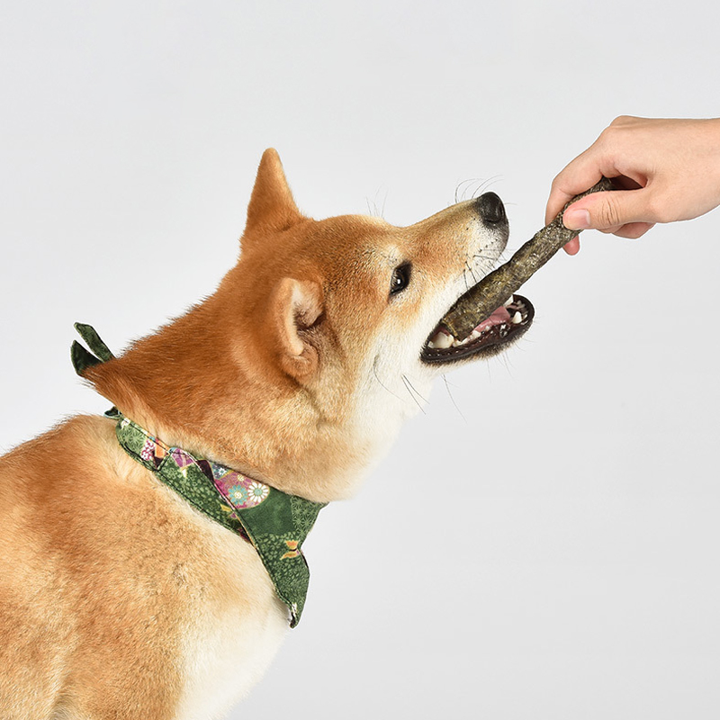 Digestive Health Organic Dried Pet Food in Various Flavor