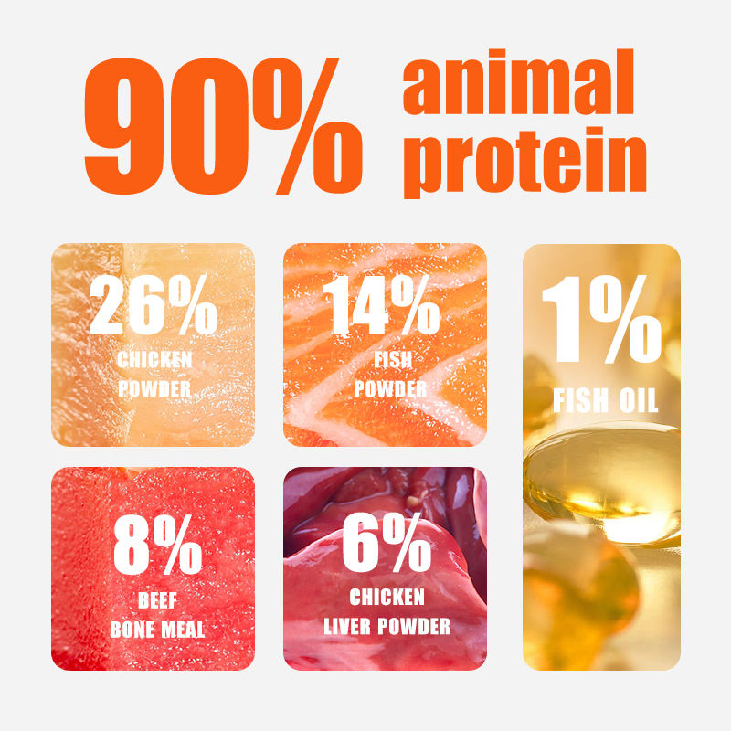 Premium Pet Food, All-Natural Ingredients – Complete Nutrition for Cats of All Ages