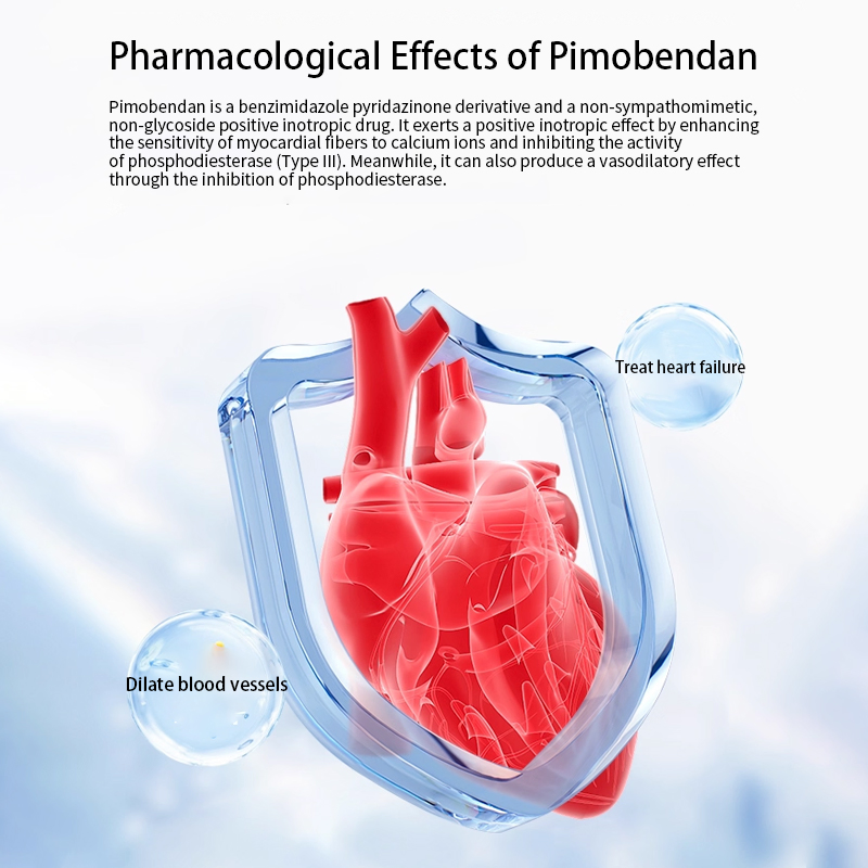 Bulk Pimobendan Chewables Supplier Treatment for Canine Congestive Heart Failure