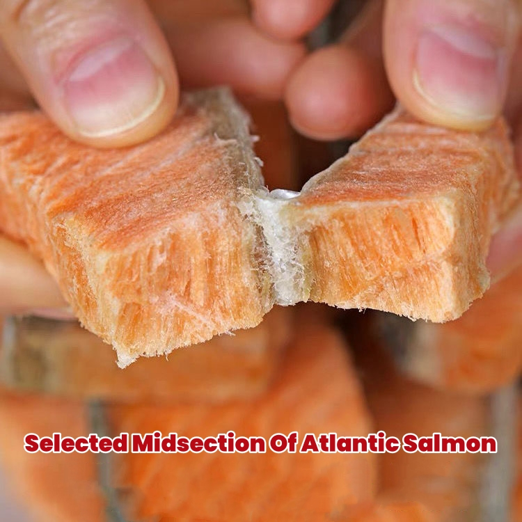 Wholesale Pet Cat Dog Treats Snacks Food Raw Cut MID-Belly of Atlantic Salmon