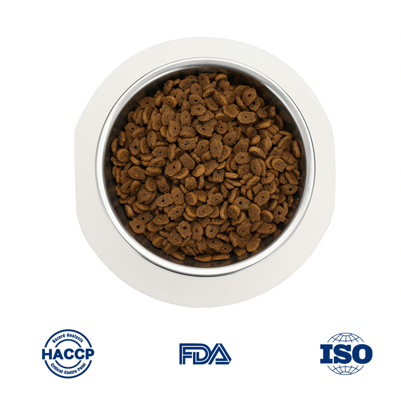 Tailored Nutrition for Strong and Happy Aussiedoodle Puppies