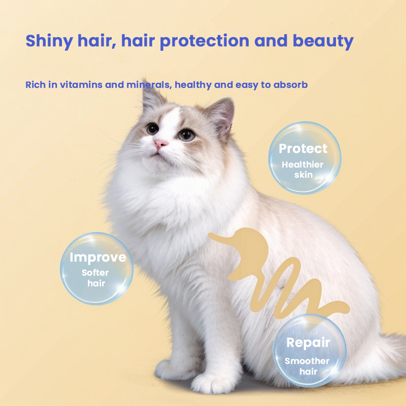 OEM Wholesale Cat Dry Food Immune Systems Organic Palatability Pet Food Dry Cat Food