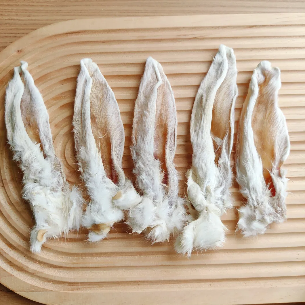 Rabbit Ears Detail 2