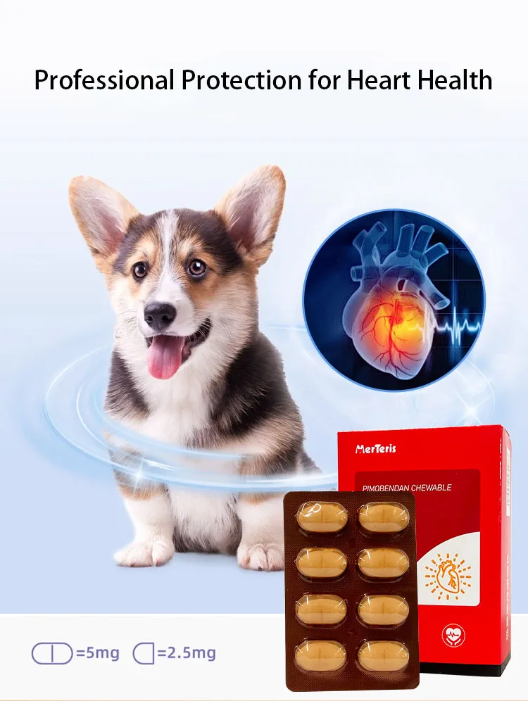 Pinobendan Tablets 6