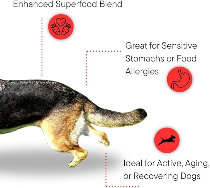 Baked Dry Dog Food Cat Food OEM Service for Healthy Pet Food