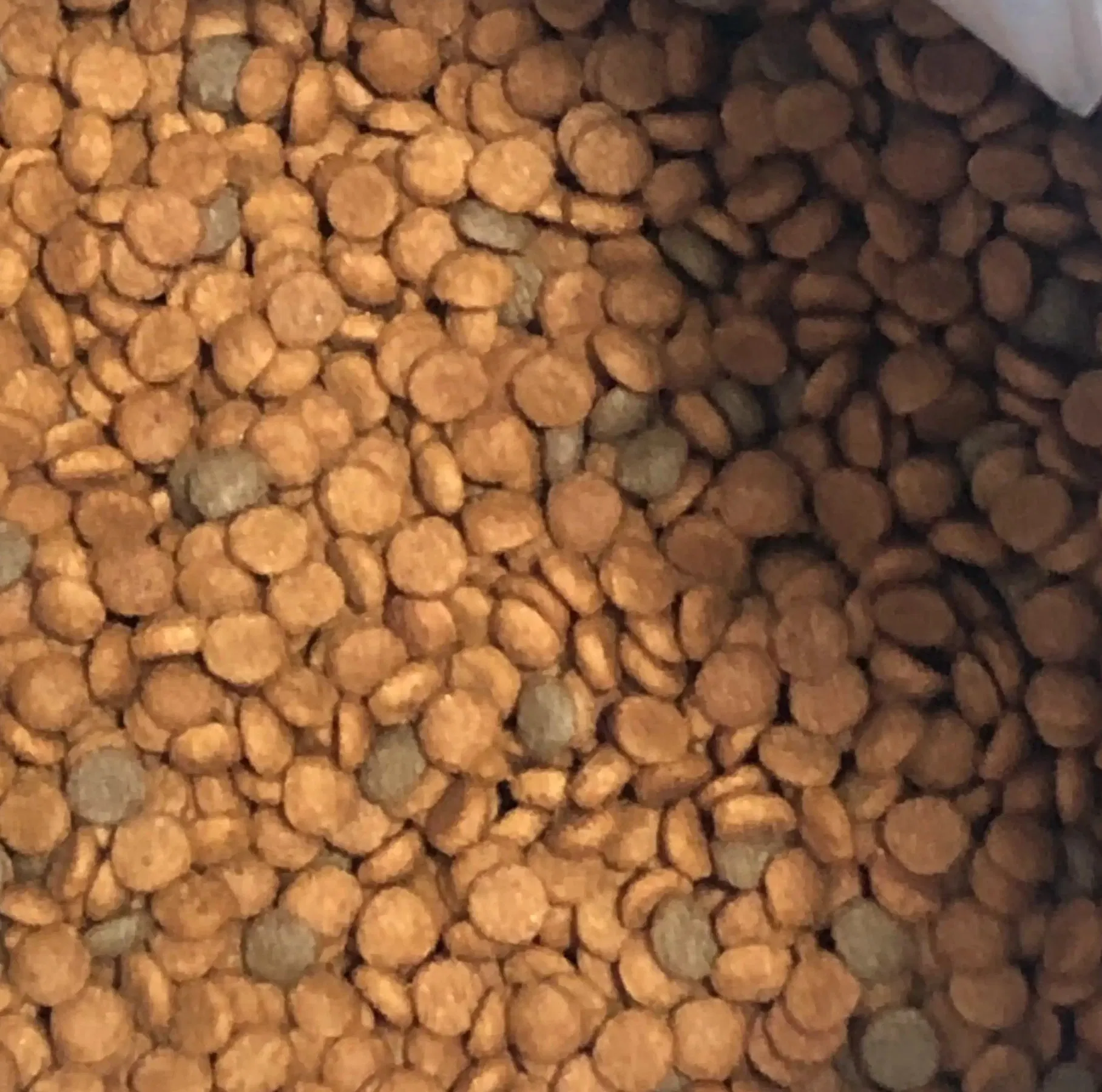 Healthy Natural High Energy Dry Dog Food Pet Food