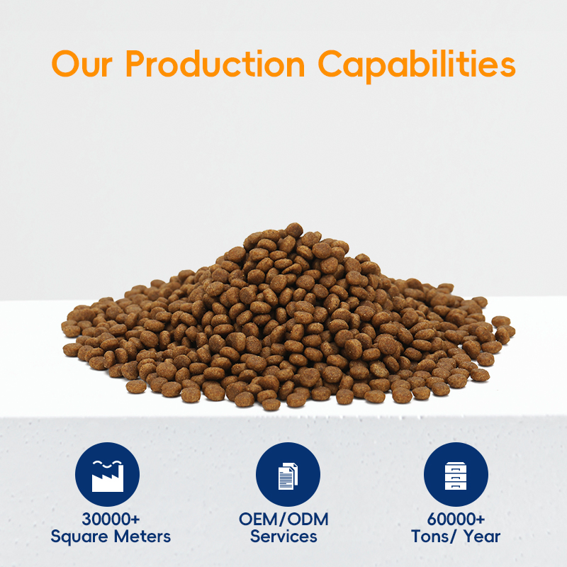 Best Dry Cat Food for Healthy Weight Management in Cats