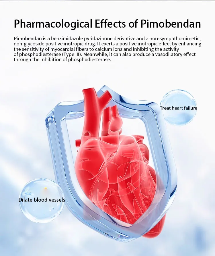 Pinobendan Tablets 4