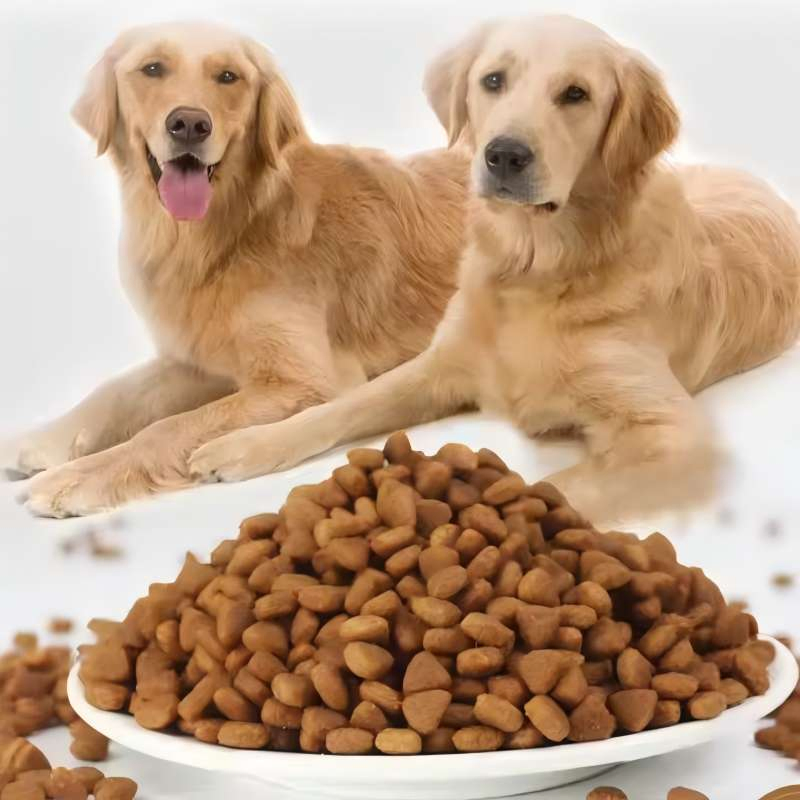 Premium Natural Vet-Approved Pet Food for Dogs and Cats