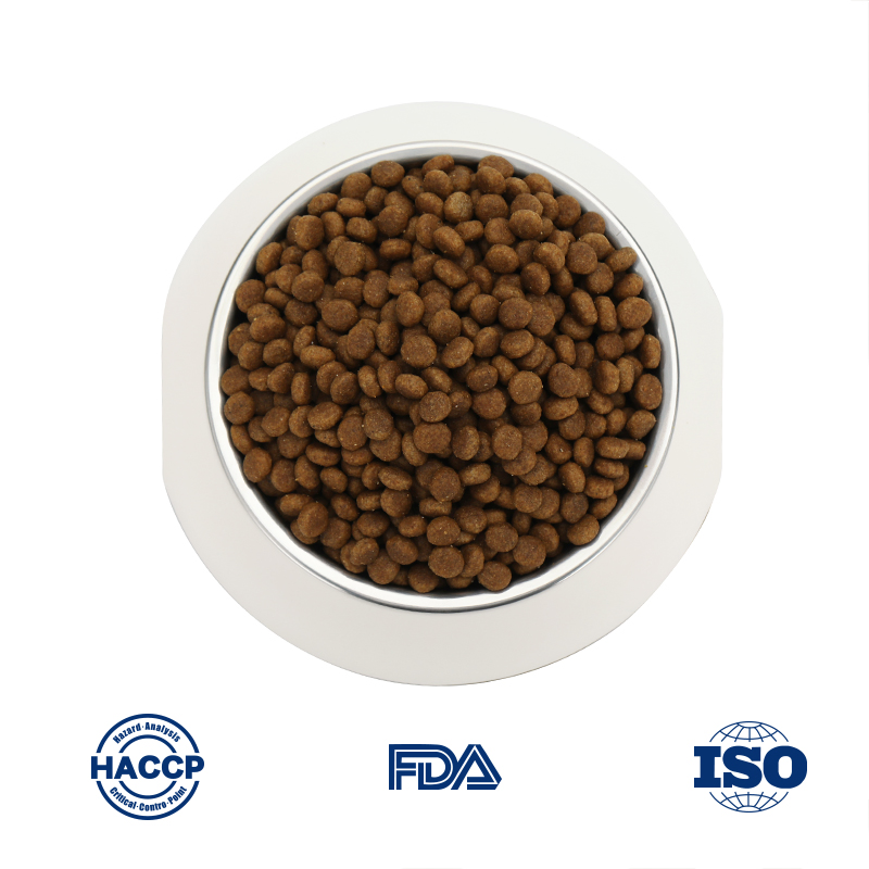 Premium Hypoallergenic Cat Food for Sensitive Stomach Relief