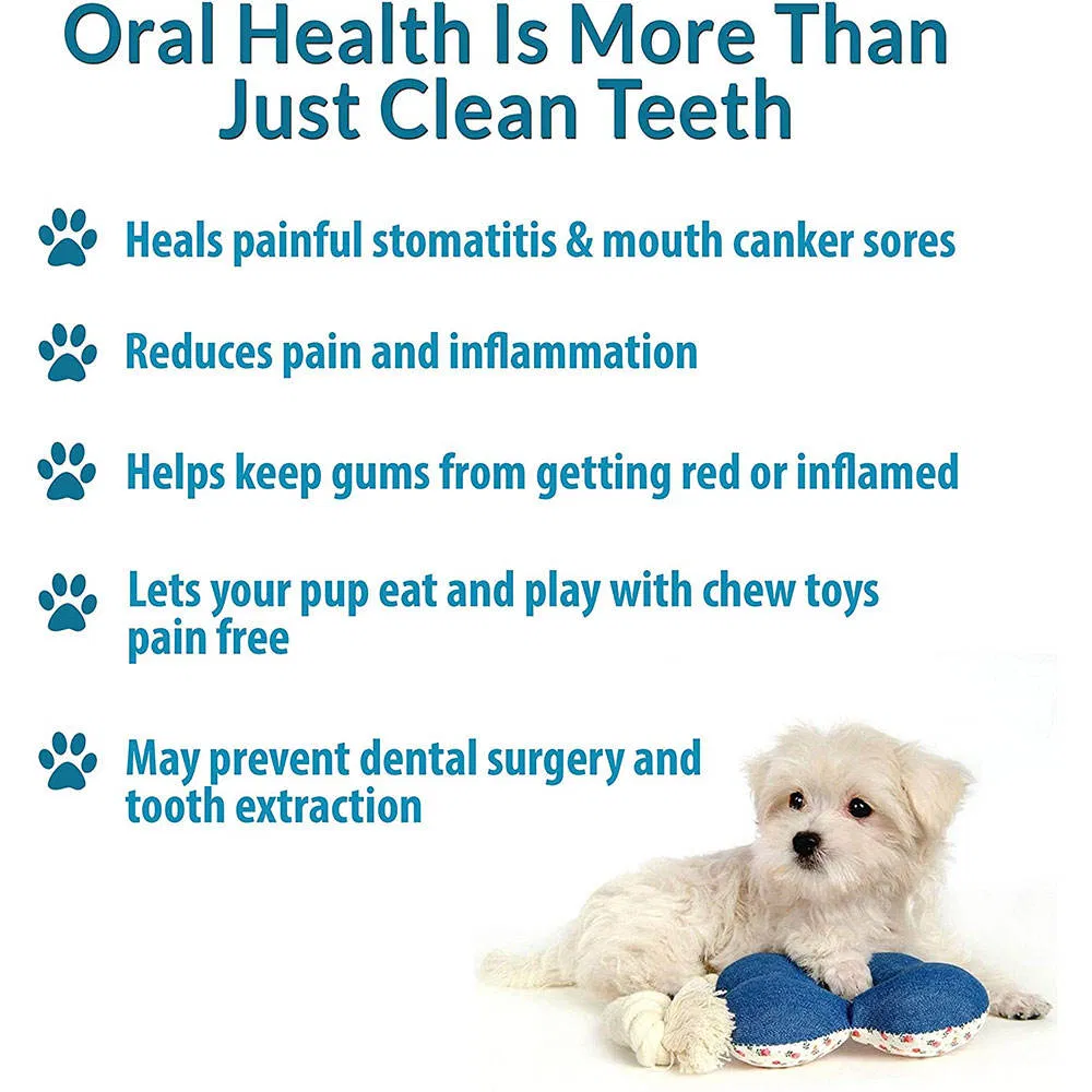 Pet Food Science Diet Natural Organic Dog Food with Healthy Ingredient