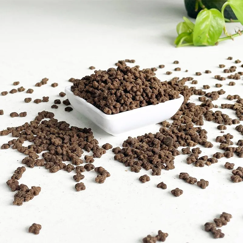 Dry Dog Food Overview