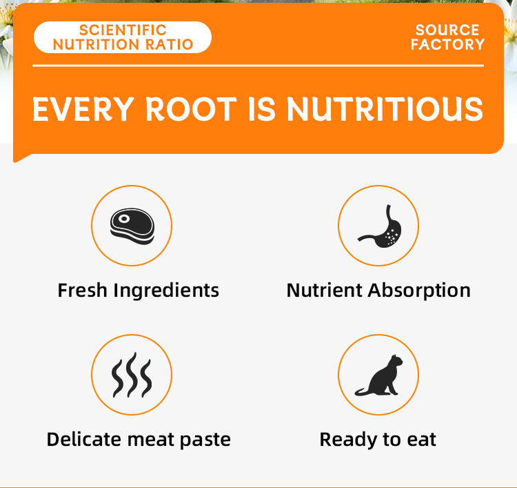 China Manufacturer OEM Wet Pet Food Pouch for Cat Packaged Pet Food