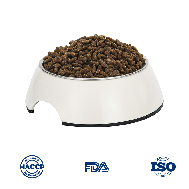 Premium Grain Free Dog Food for Healthy Pups