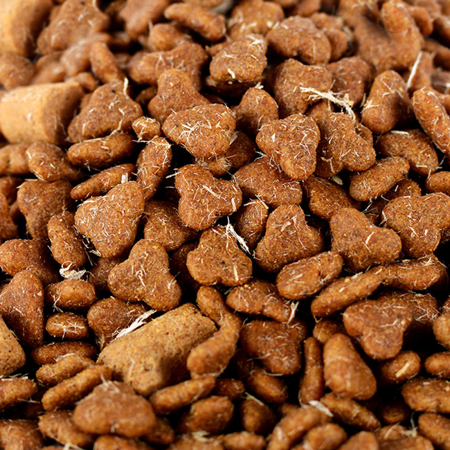 Pet Product Supplier Organic Dry Cat Food 10kg Private Brand High Nutrition