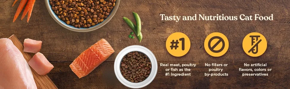 Chicken Formula Dry Cat Food